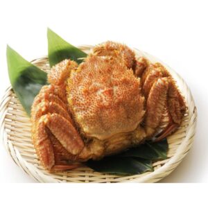 Cua lông Nhật bản